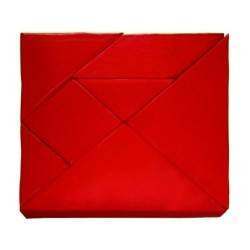 TANGRAM  CON BOLSA 100 x...