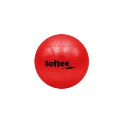 PELOTA POLIVALENTE LISA...