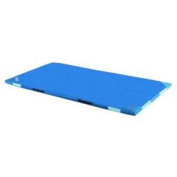 COLCHONETA 200X100X5 D25...