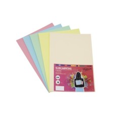 PACK 15 SUBCARPETA A4 COLOR...