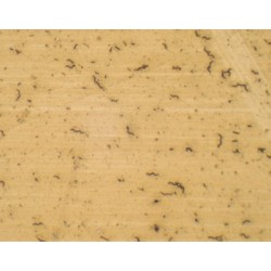 EXTENSION DE TRES TIPOS DE...